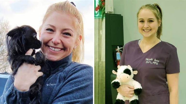 Nicole Arcy: Key Facts About Wedding, Husband, Net Worth